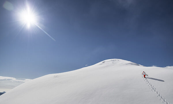 SCALE THE MOUNTAIN
