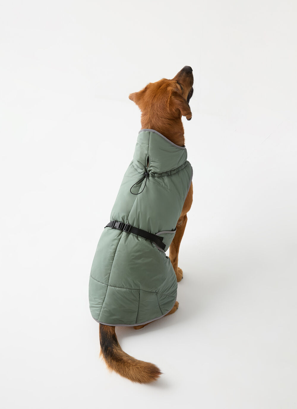 Manteau matelass&eacute; pour chien  image number 1