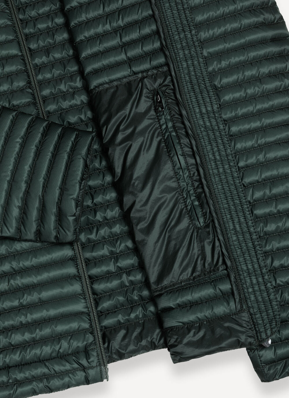 Plum&iacute;fero liger&iacute;simo brillante image number 6