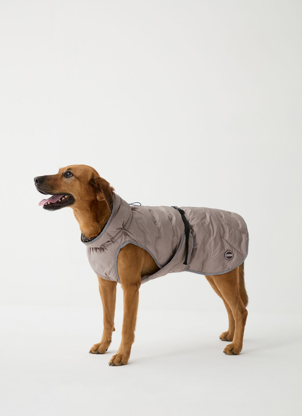 Padded jacket for dogs  image number 1
