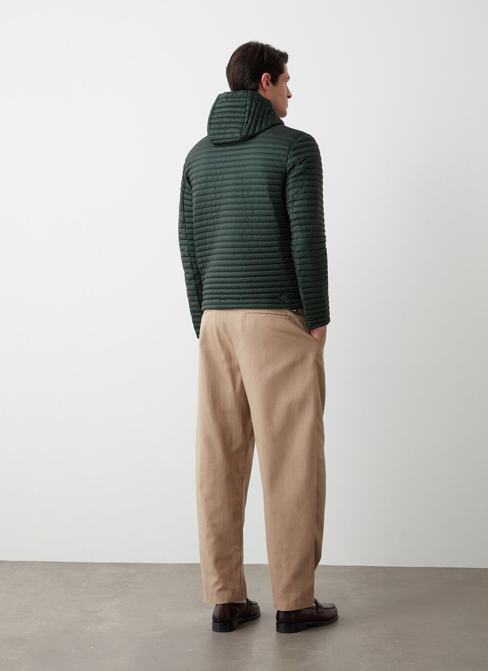 Plum&iacute;fero liger&iacute;simo brillante image number 3