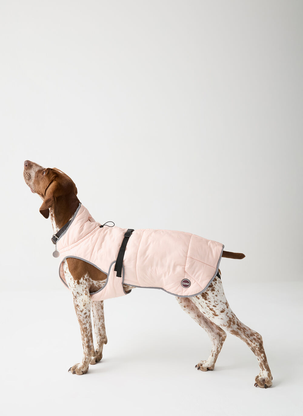 Padded jacket for dogs  image number 1