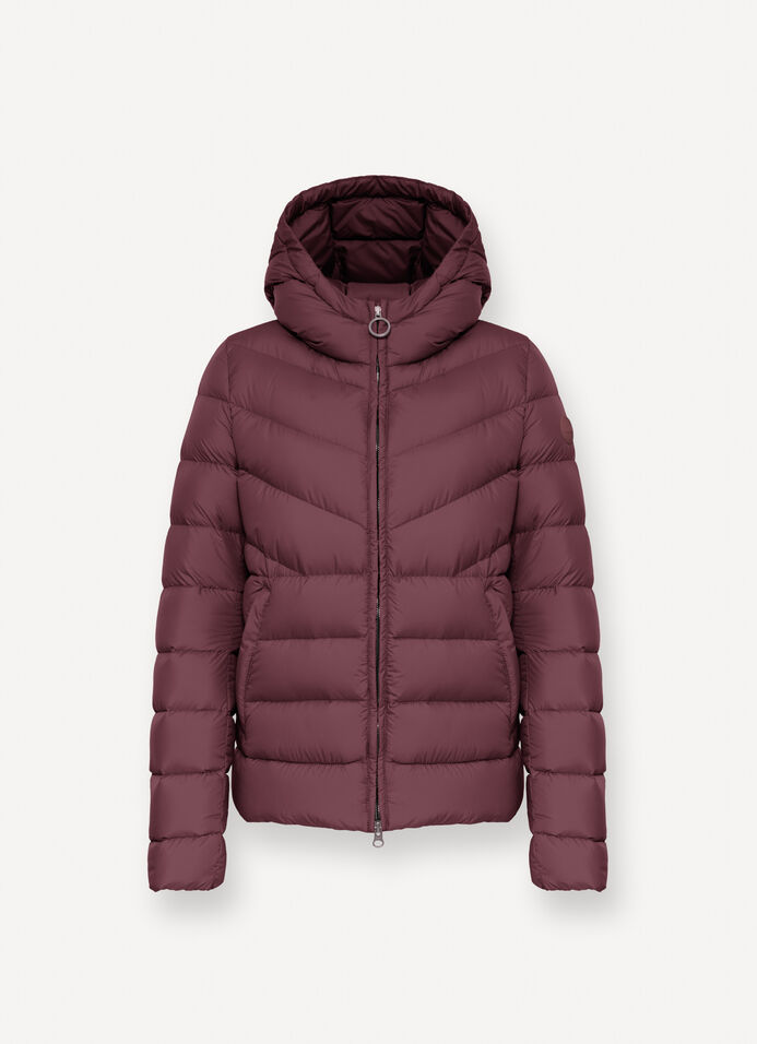 Down jacket with fixed hood in matt fabric image number 5