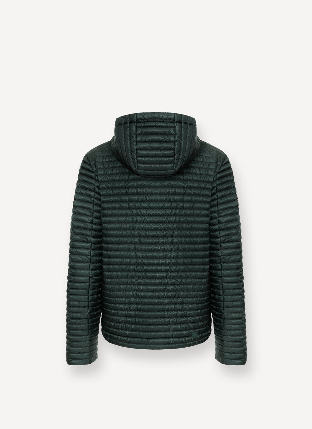 Plum&iacute;fero liger&iacute;simo brillante image number 5