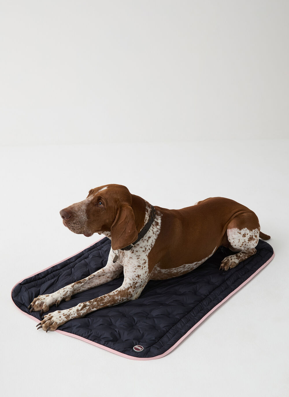 Non-slip mat for dogs image number 0