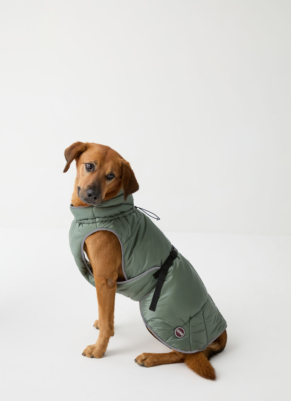 Manteau matelass&eacute; pour chien  image number 0