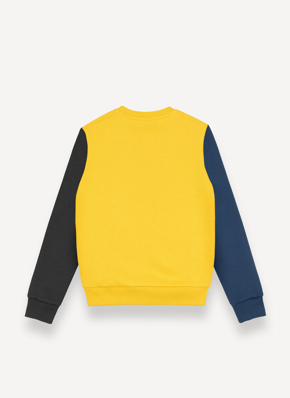 Colour-block sweatshirt with logo image number 4