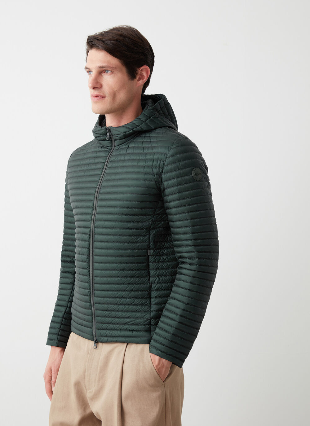 Plum&iacute;fero liger&iacute;simo brillante image number 0