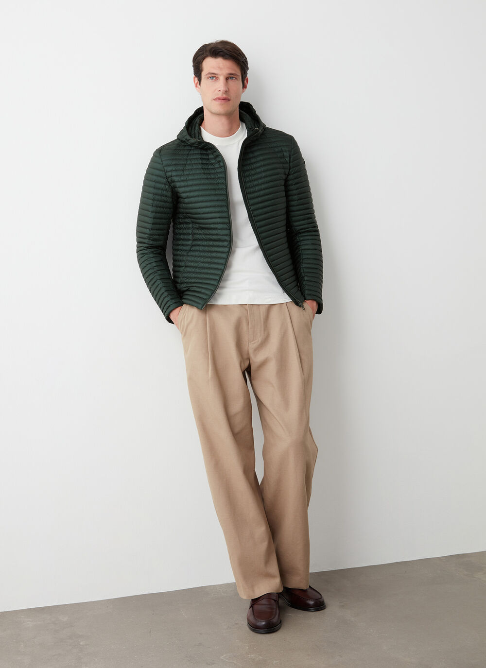 Plum&iacute;fero liger&iacute;simo brillante image number 1