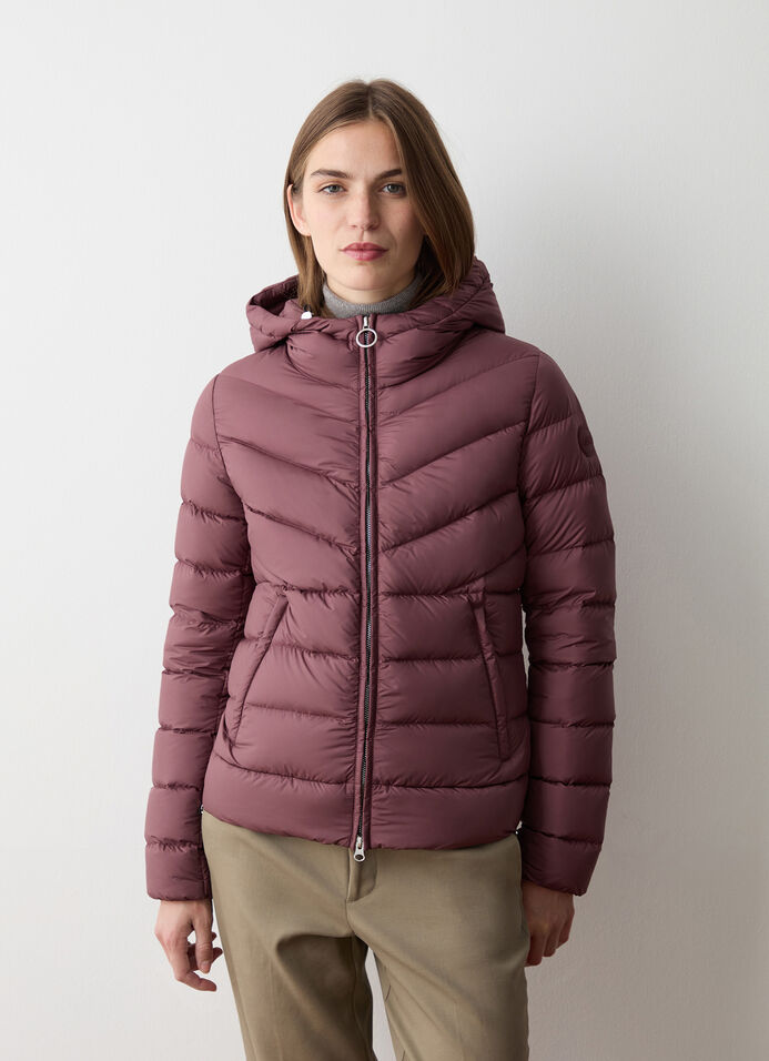 Down jacket with fixed hood in matt fabric image number 0
