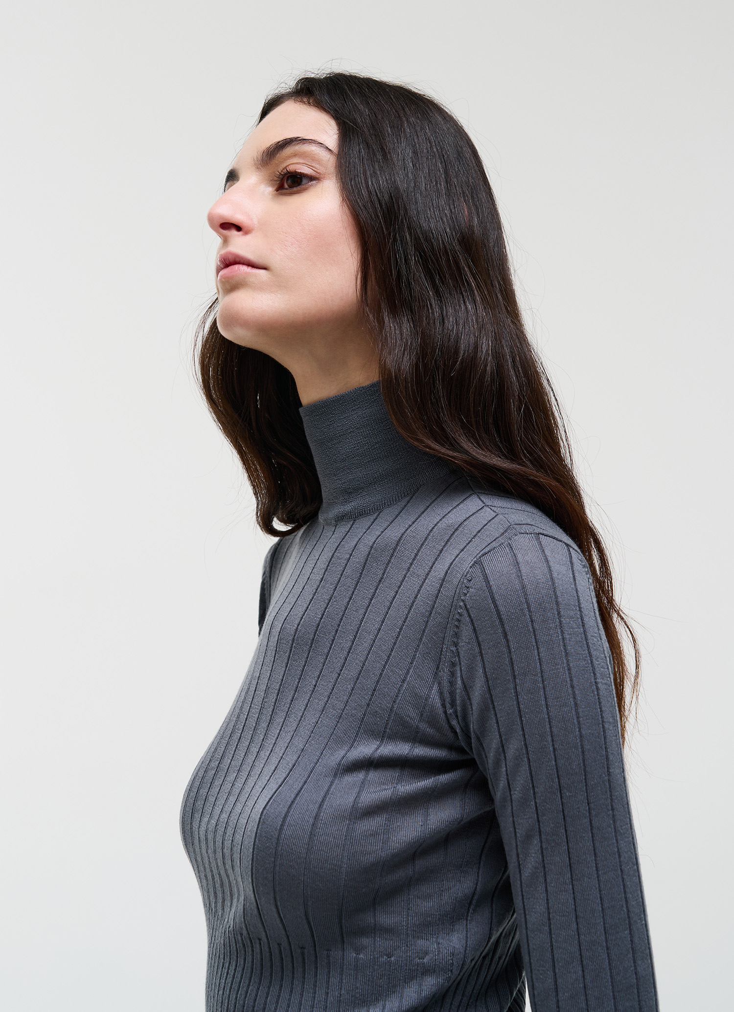 Colmar Rollkragenpullover Aus Merinowolle